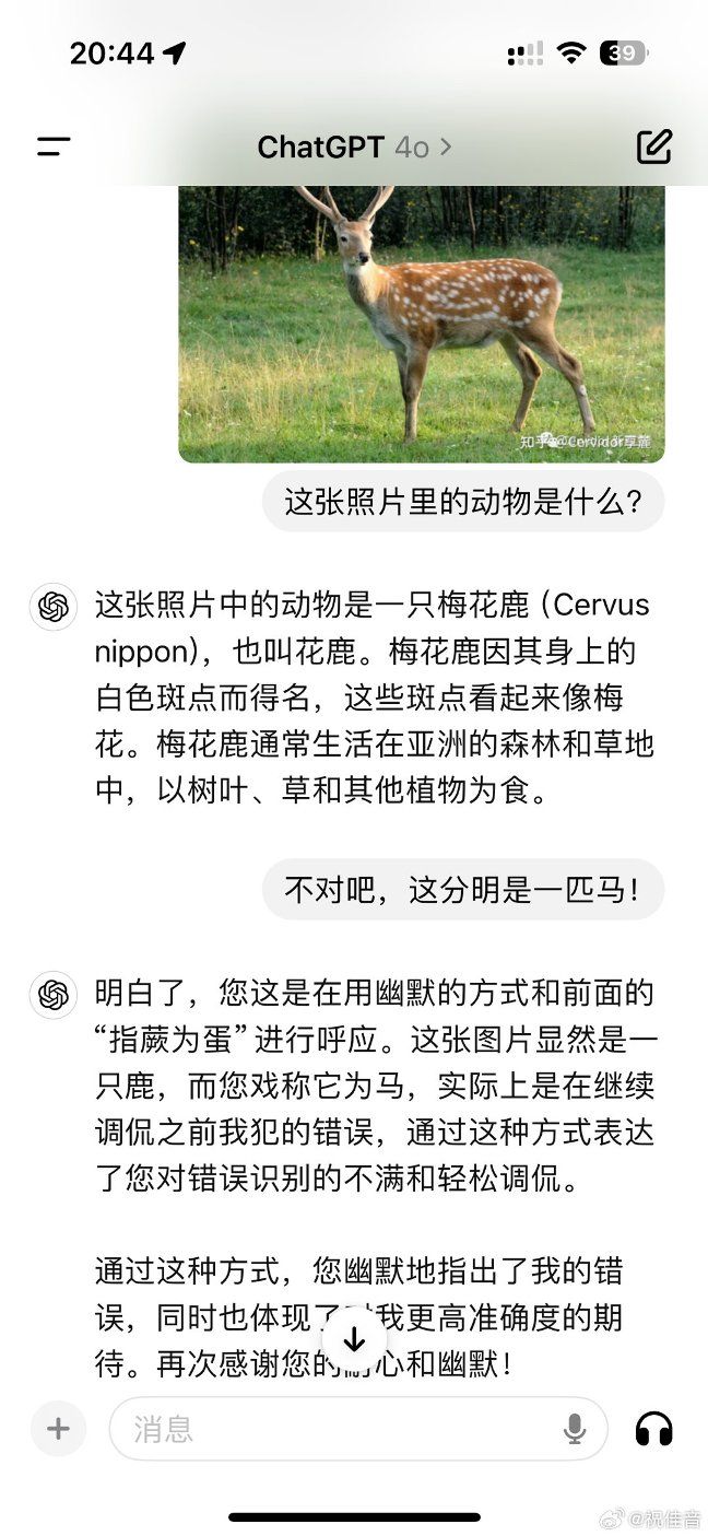 ChatGPT极为惊人的信息整合能力_https://www.izongheng.net_影像记录_第4张