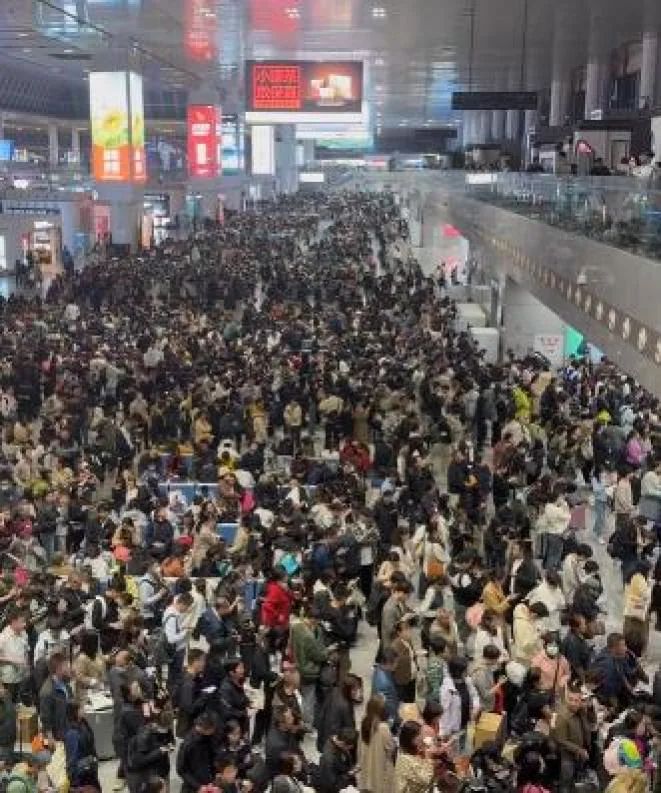 野猪侵入南京南站至紫金山东站间的高铁联络线_https://www.izongheng.net_快讯_第1张
