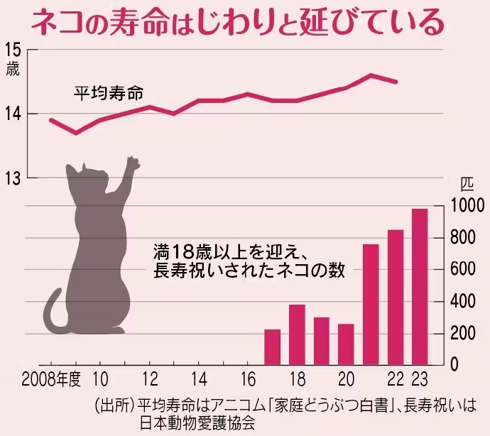 猫的寿命可能会延长  超过30岁_https://www.izongheng.net_影像记录_第1张