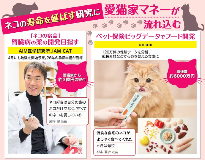 猫的寿命可能会延长  超过30岁_https://www.izongheng.net_影像记录_第2张